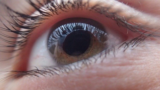 Glaucoma Awareness Month: Why It’s Important to Catch it Early